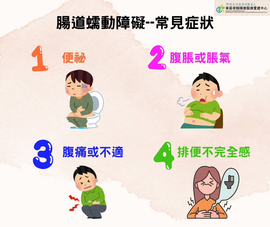 腸胃衛教文 39863